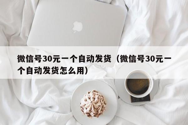 微信号30元一个自动发货（微信号30元一个自动发货怎么用）