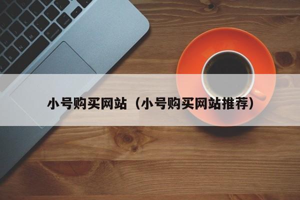 小号购买网站（小号购买网站推荐）
