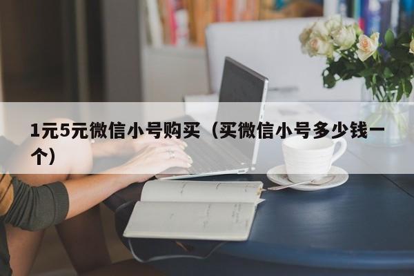 1元5元微信小号购买（买微信小号多少钱一个）
