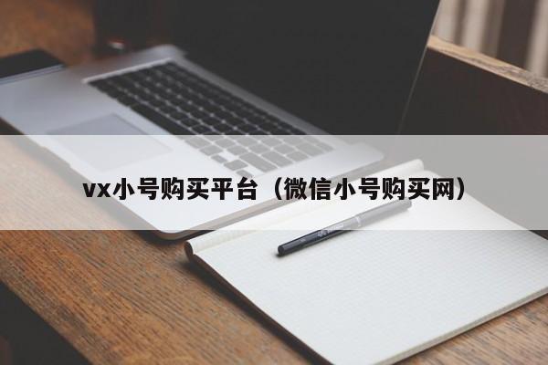 vx小号购买平台（微信小号购买网）
