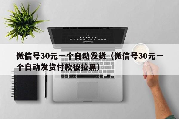 微信号30元一个自动发货（微信号30元一个自动发货付款被拉黑）