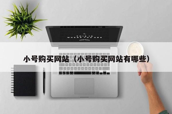 小号购买网站（小号购买网站有哪些）