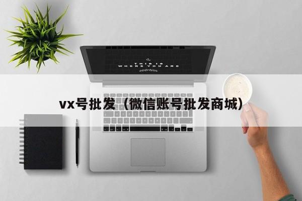 vx号批发（微信账号批发商城）