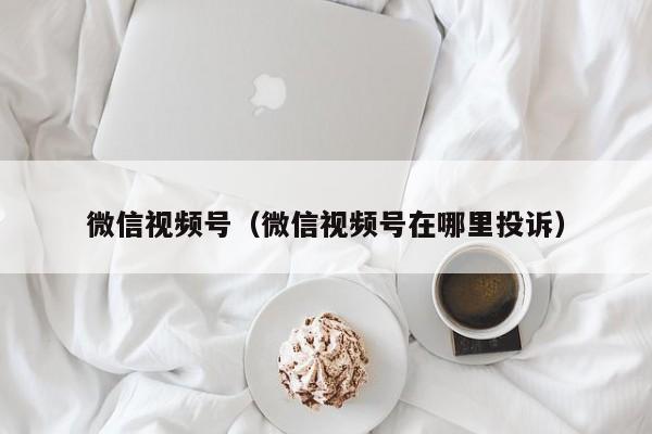 微信视频号（微信视频号在哪里投诉）