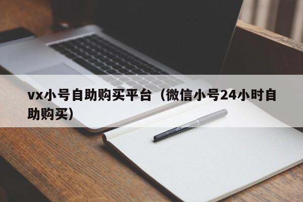 vx小号自助购买平台（微信小号24小时自助购买）
