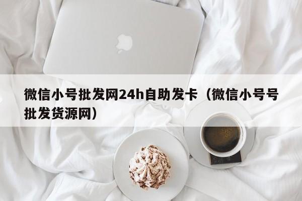 微信小号批发网24h自助发卡（微信小号号批发货源网）