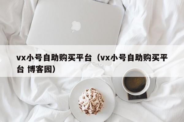 vx小号自助购买平台（vx小号自助购买平台 博客园）