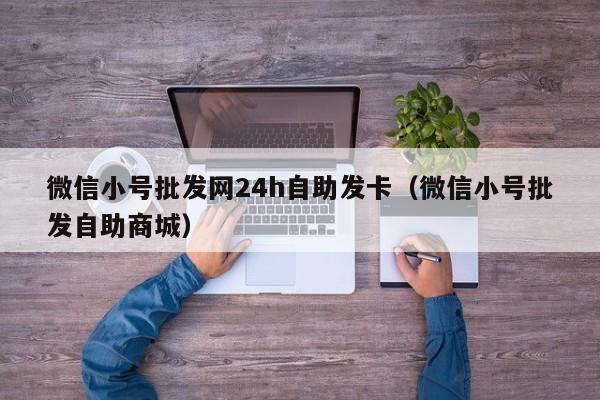 微信小号批发网24h自助发卡（微信小号批发自助商城）