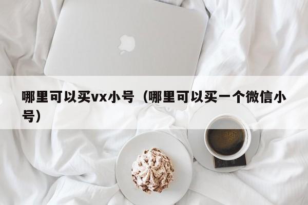 哪里可以买vx小号（哪里可以买一个微信小号）
