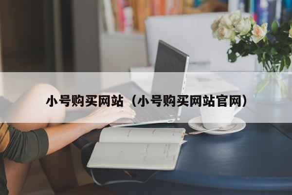 小号购买网站（小号购买网站官网）
