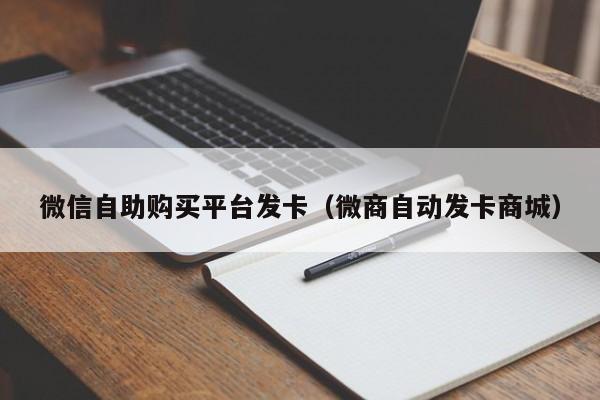 微信自助购买平台发卡（微商自动发卡商城）