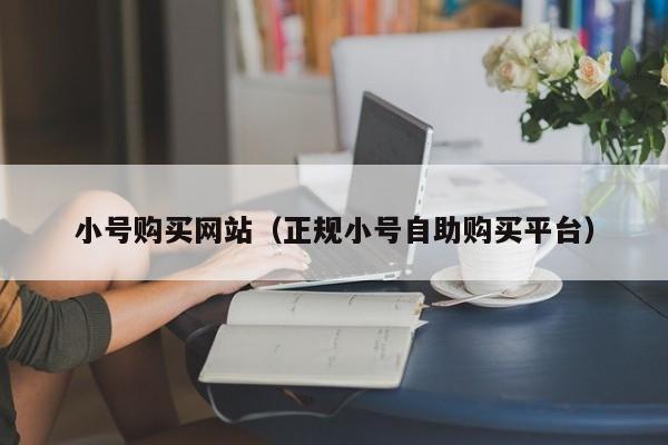 小号购买网站（正规小号自助购买平台）