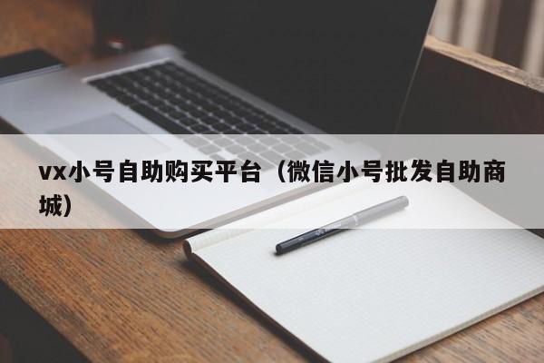 vx小号自助购买平台（微信小号批发自助商城）