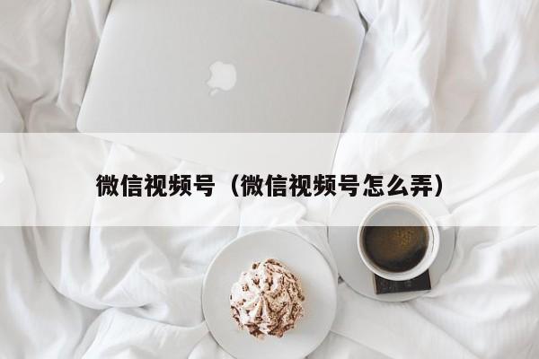 微信视频号（微信视频号怎么弄）