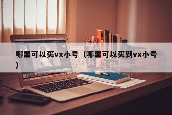哪里可以买vx小号（哪里可以买到vx小号）